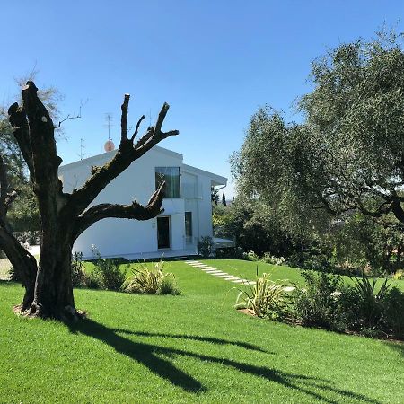 Villa Il Bacio Del Sole Верона Экстерьер фото