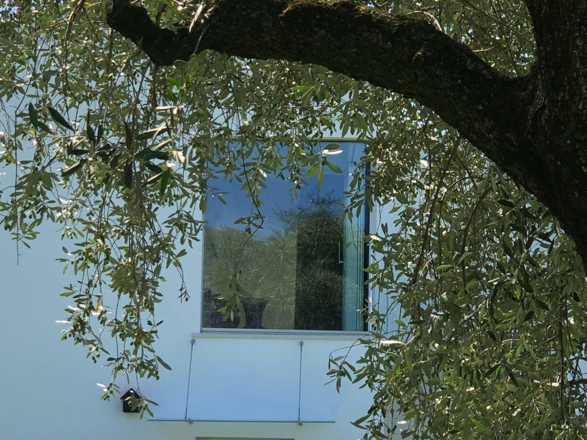 Villa Il Bacio Del Sole Верона Экстерьер фото